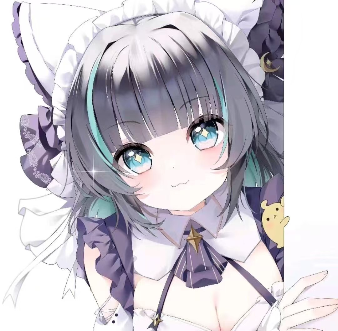 15647270010