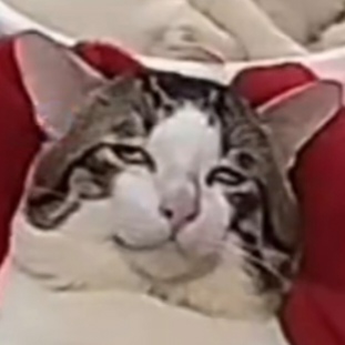 EKK伊莱