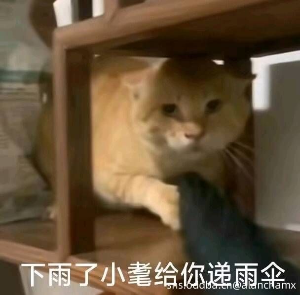 求助,3.11.4服装商ragman任务完成后不解锁商品购买(图文无关)