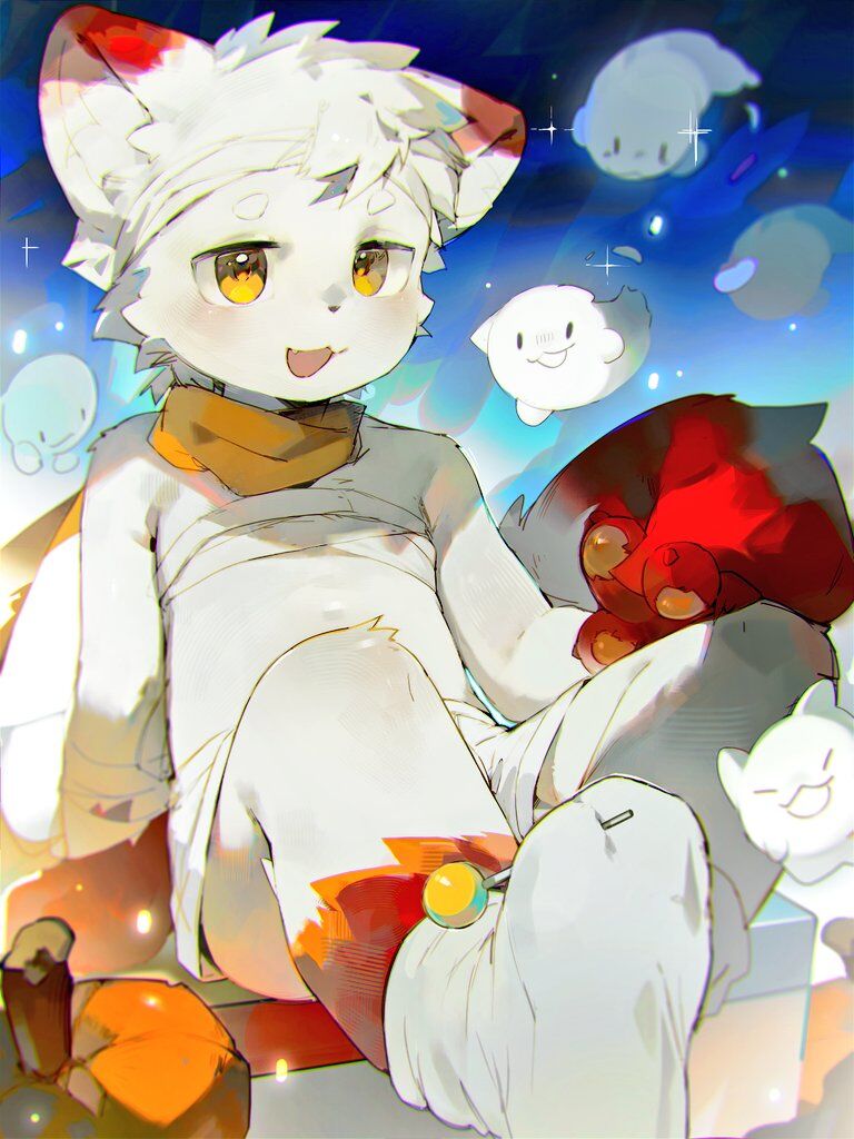CatsOrange