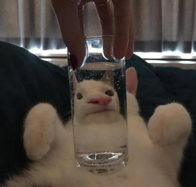 最爱大晴天