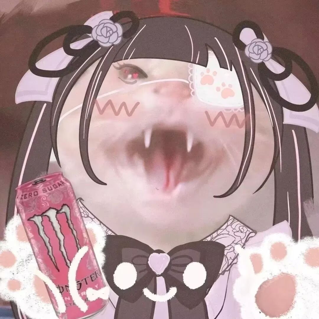 GHVGH6