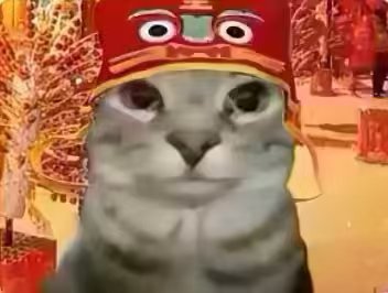 123qqq