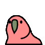 Niancys